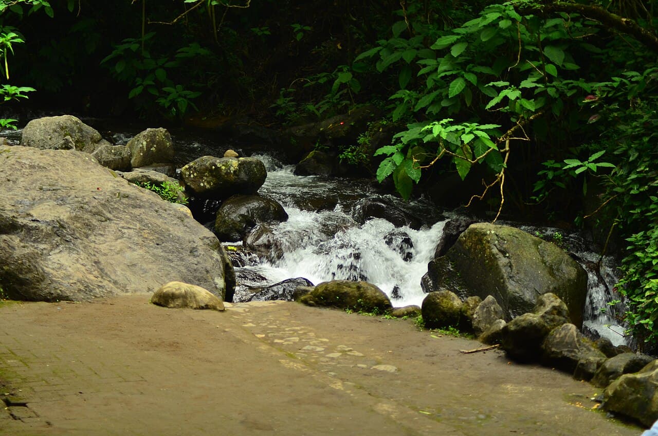 Tetesan air sejuk pegunungan di Coban Rondo